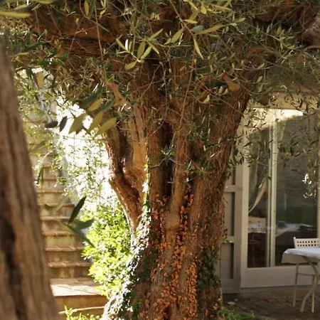 Daire In Einem In Den Huegeln- Mit Garten Und Pool By Interhome